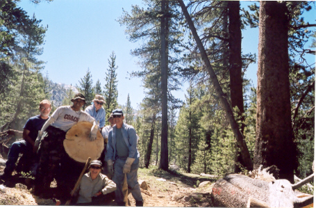 Our 210+ year old tree