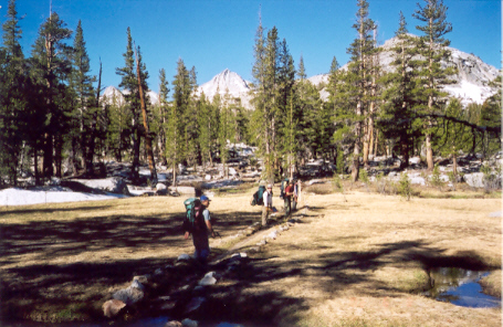 On the way from Rosemarie Meadow to Seldon Pass.